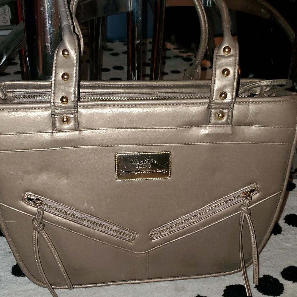 Pet carry purse/tote